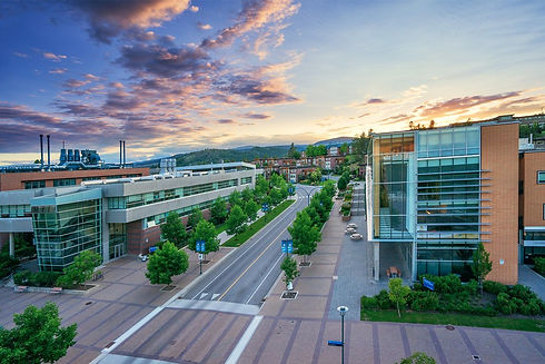 UBCO-cover.jpg