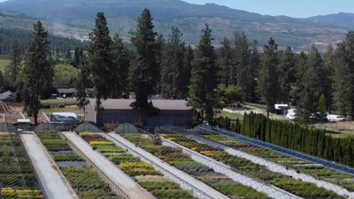 Foxglove Grow Facility