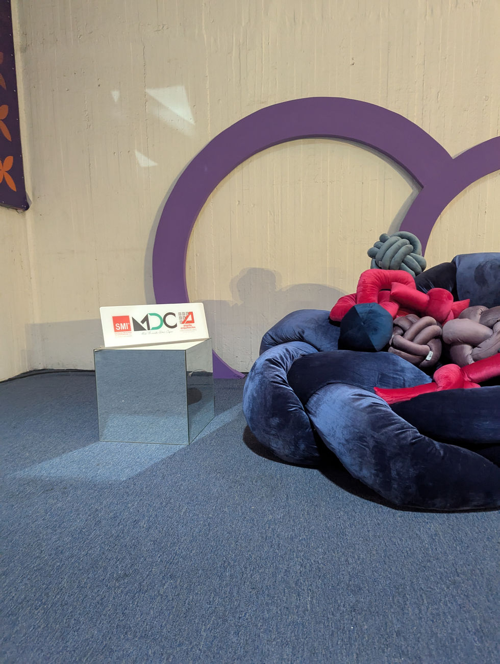 PXL_20251007_193426791.RAW-01.COVER