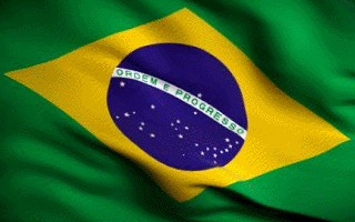 gifbandeira.gif