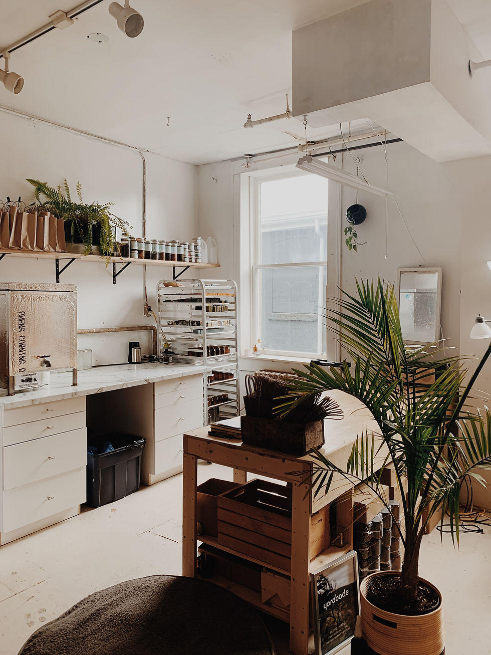Open Studio—Birthday Edition