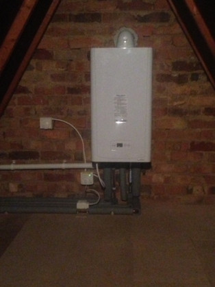 image1 (1).jpeg