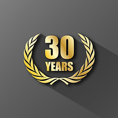 30 years of experience.webp