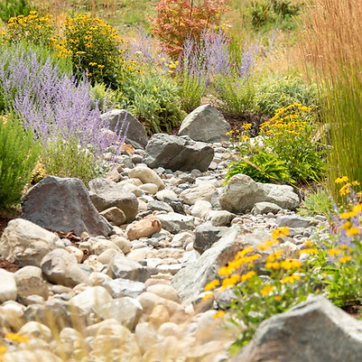 SproutedSlopes_Seabeck-42 (1).jpg