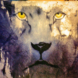 Lion Painting