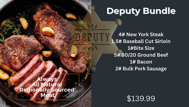 deputy bundle slide.jpg