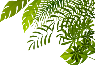 Jungle-PNG-Image.png