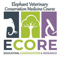 VetCourse Logo FINAL.jpg