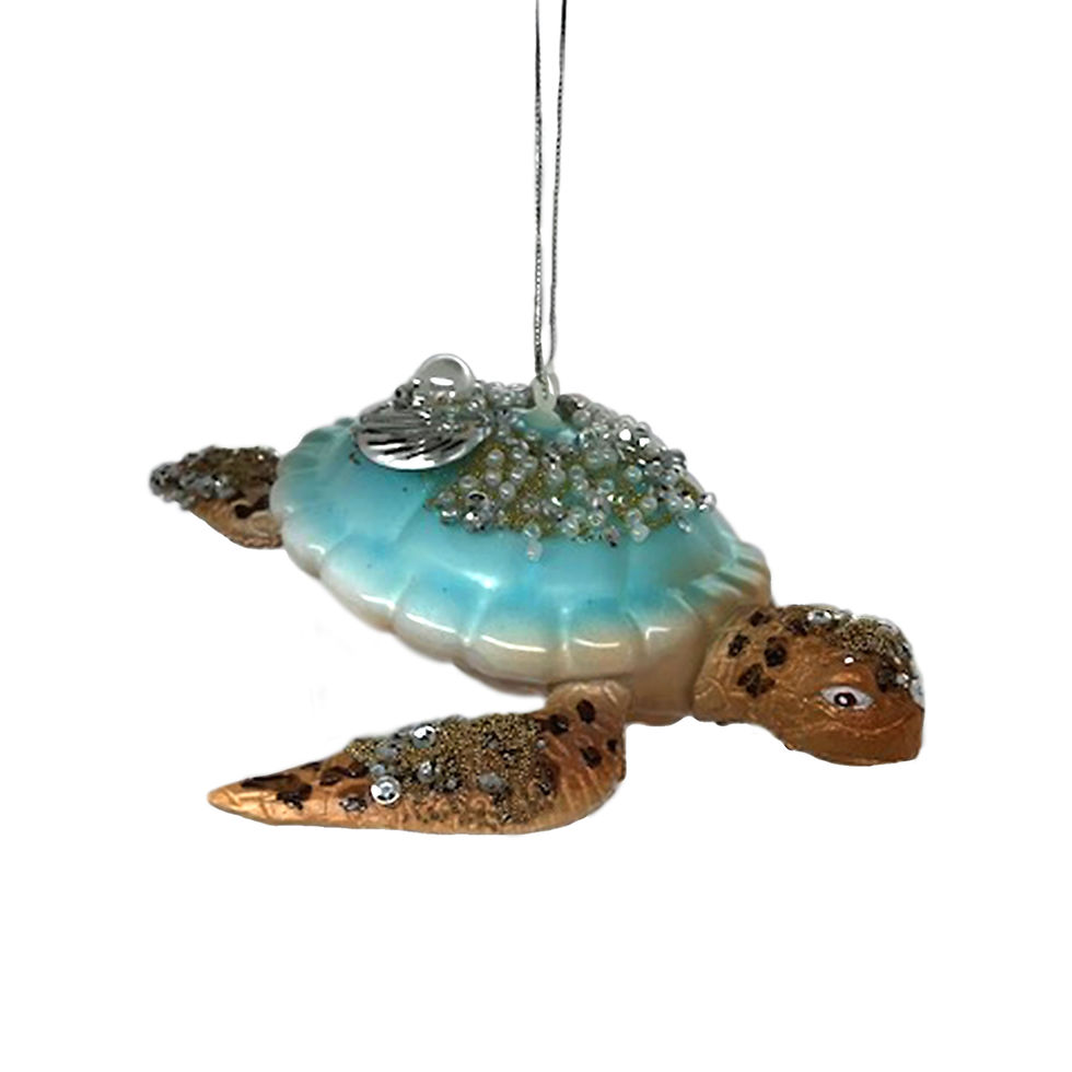 Sally Forth the Sea Turtle