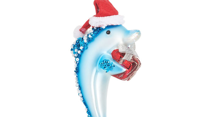 Festive Phineas Dolphin