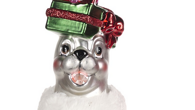 Serena Seal With Presents!