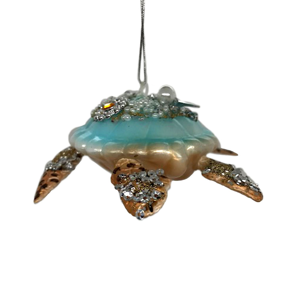 Thumbnail: Sally Forth the Sea Turtle