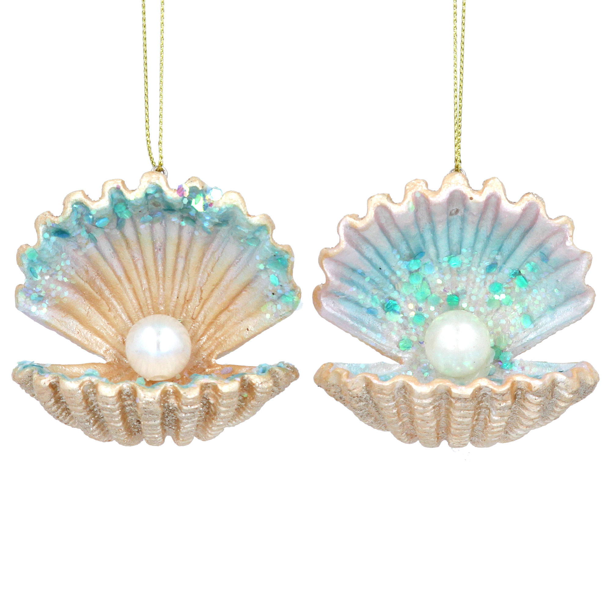 Shell with a Pearl