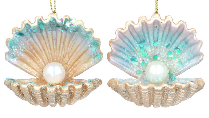 Shell with a Pearl