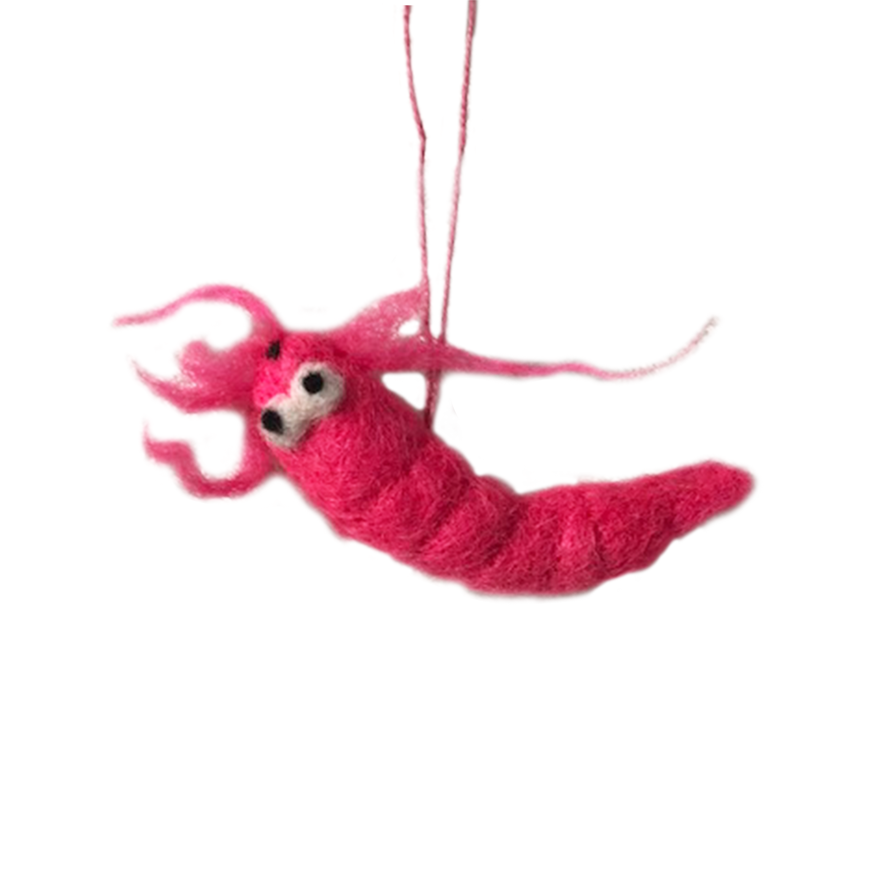 Pascal the Prawn