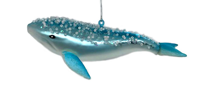 Humphrey the Humpback