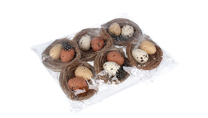 Speckled Hen's Eggs in a Nest (1)