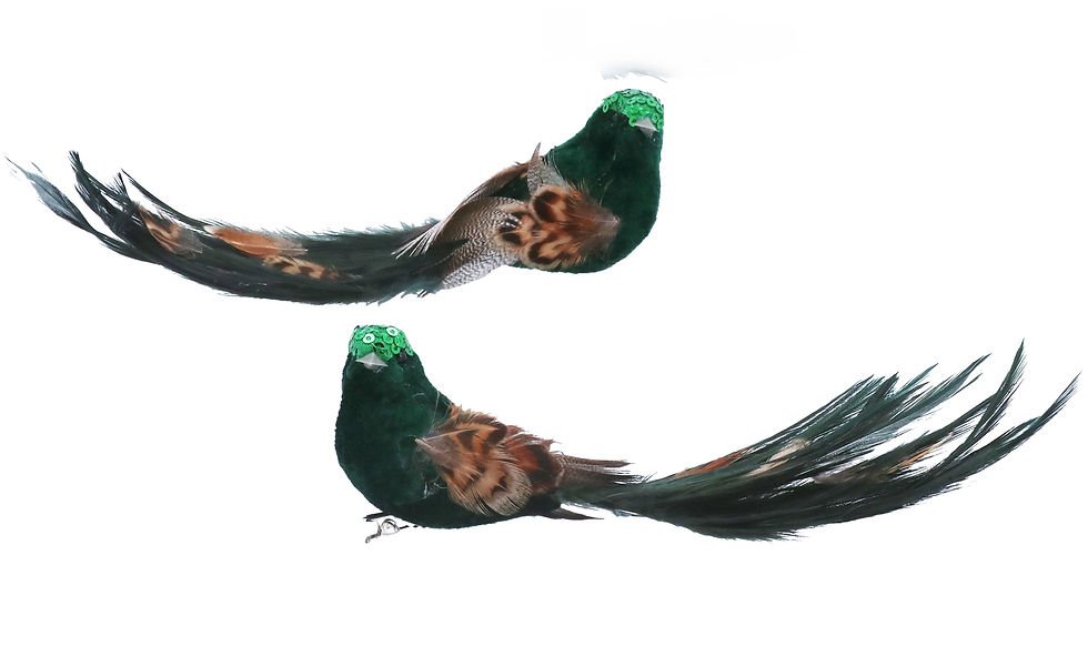 Thumbnail: Blue or Green Bird Clip