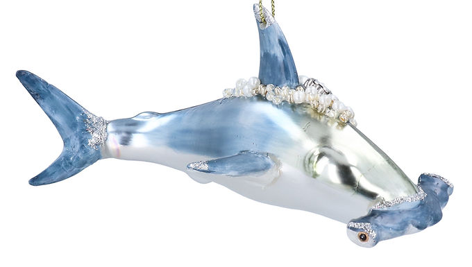Hammerhead Shark