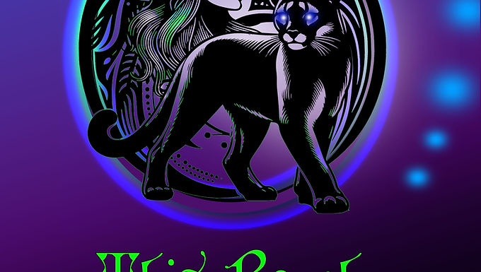 Book 11 -This Rough Magic