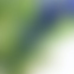 2023年9/23秋分からのホロスコープ知恵の使い方に愛はあるか？「損得感情で生きればいつか破綻する」
