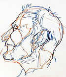 portrait (9).jpg