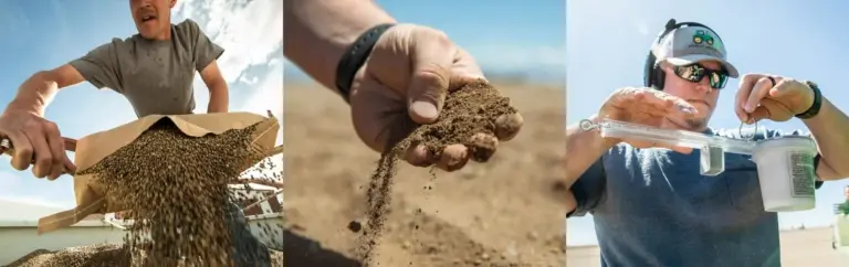 Hemp Farming