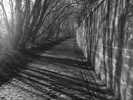 Express, Exert, Exult; Excerpt.