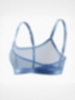 Thumbnail: Blue Mesh Top Bralette, back view