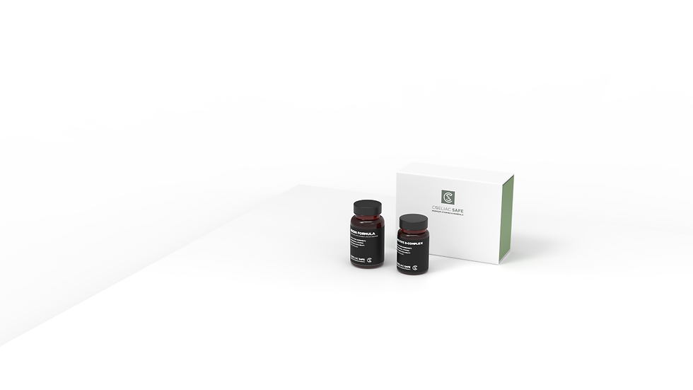 Website front page visual assembly 2.51.png