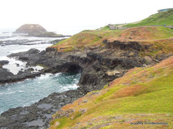 Phillip island