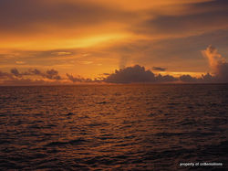 Sunset in Maldives