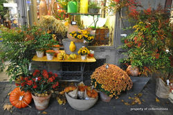 Fall 2015, Zurich