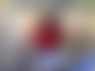 My Internship Experience