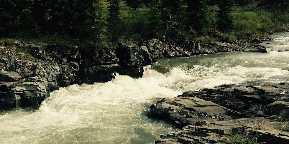 Transboundary Weeds, Water and Stewardship Tour