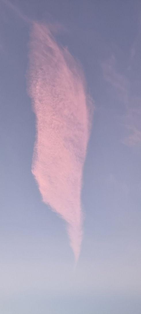 20220925_201839red3.jpg