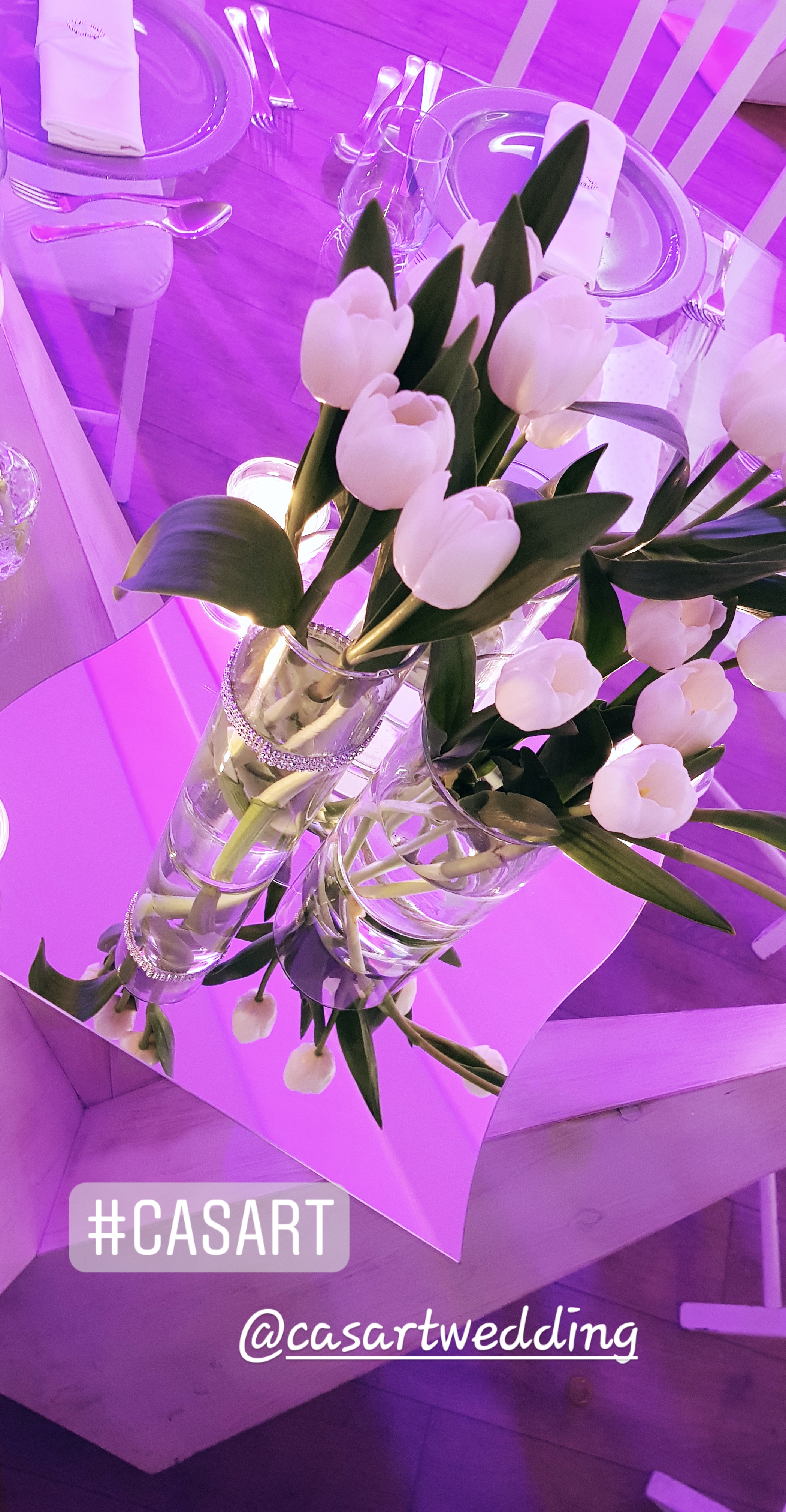 Decoração Tulip