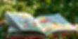children's books publishing with nature background.jpg