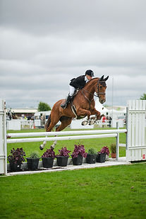a&p show christchurch