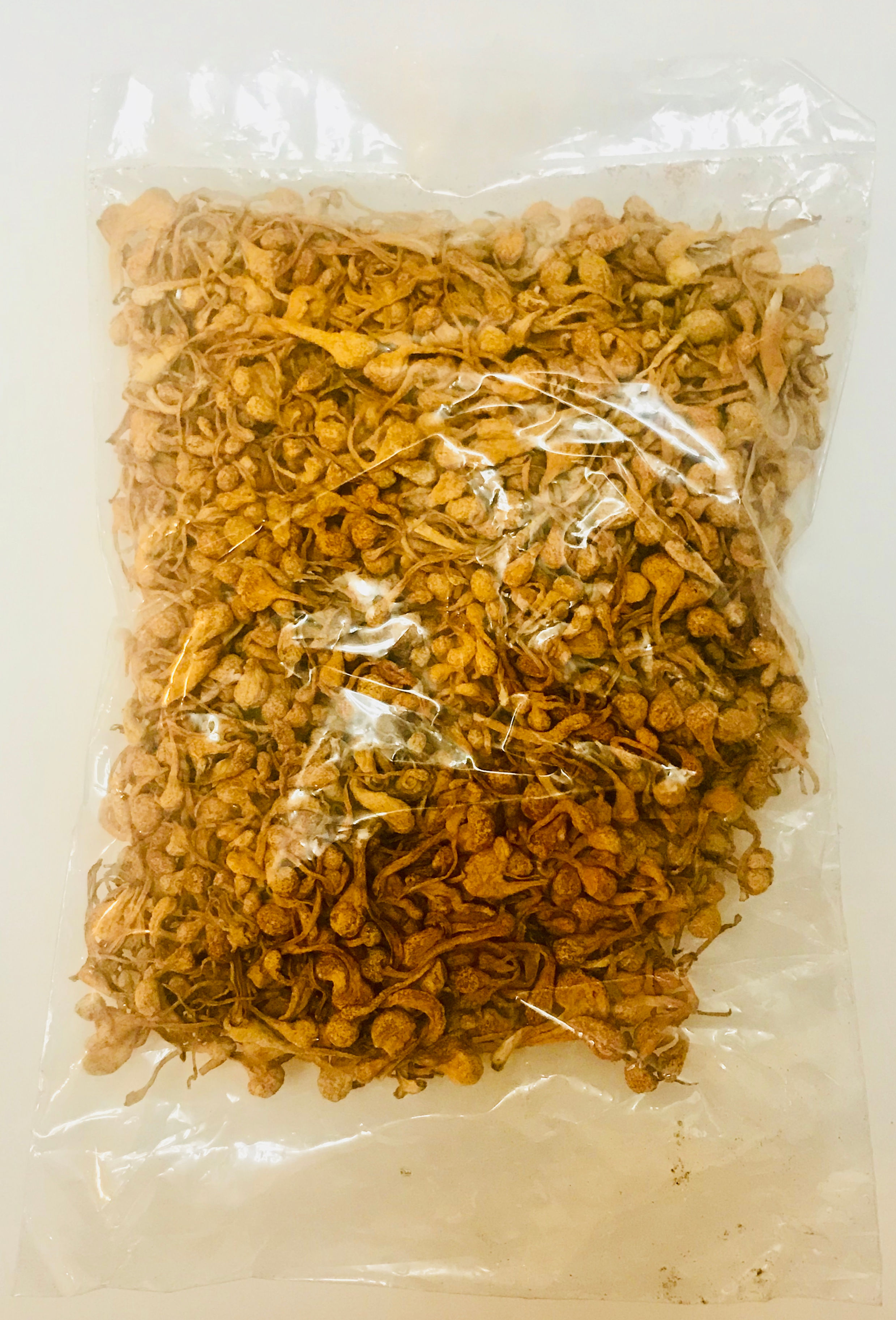 Cordyceps Flower 狍子虫草花 16 oz