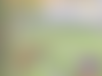 Book Review: Patrick Leigh Fermor’s Between the Woods and the Water