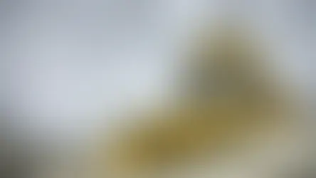 The Anatomy of a Government Shutdown