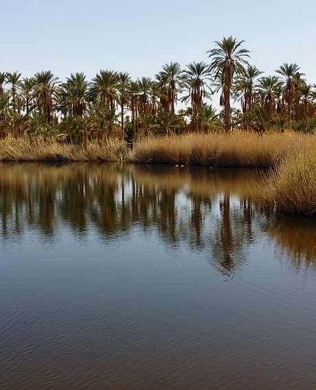 Lac Sahara Algérien