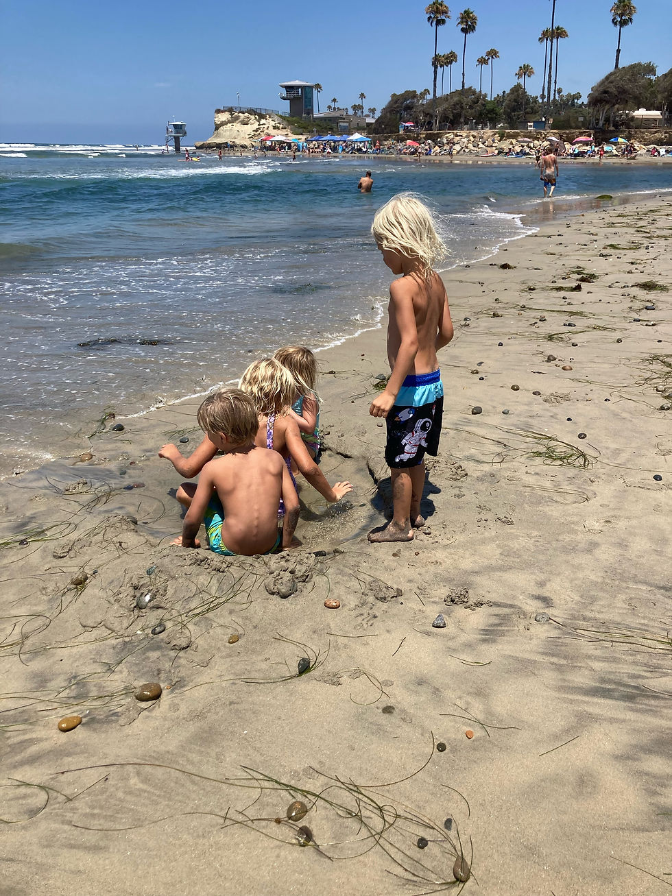 Cardiff Beach Meetup