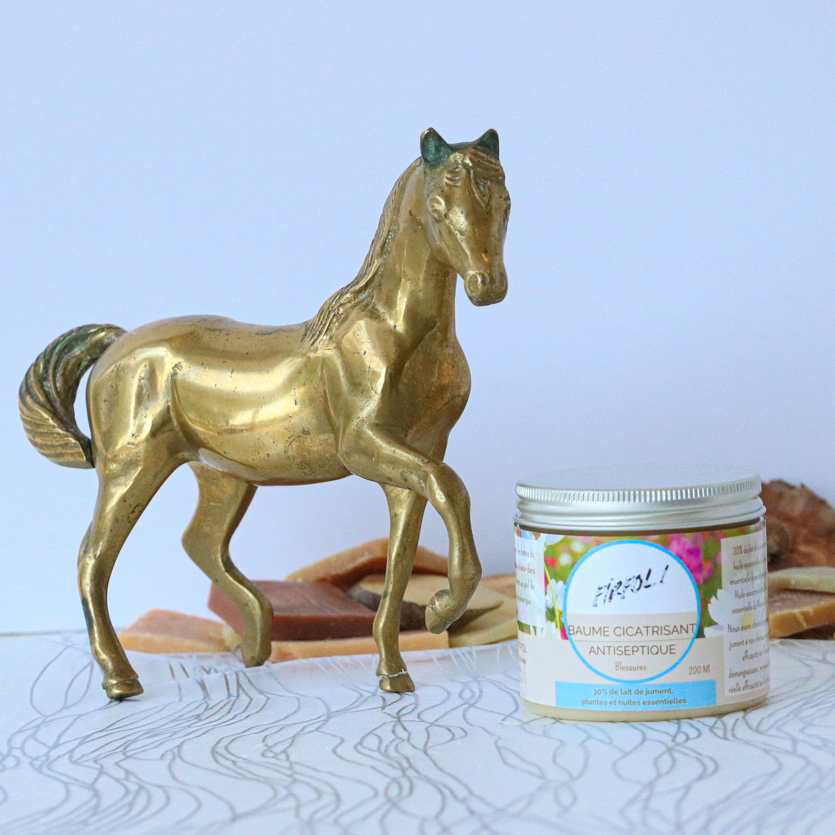 BAUME CICATRISANT & ANTISEPTIQUE pour cheval