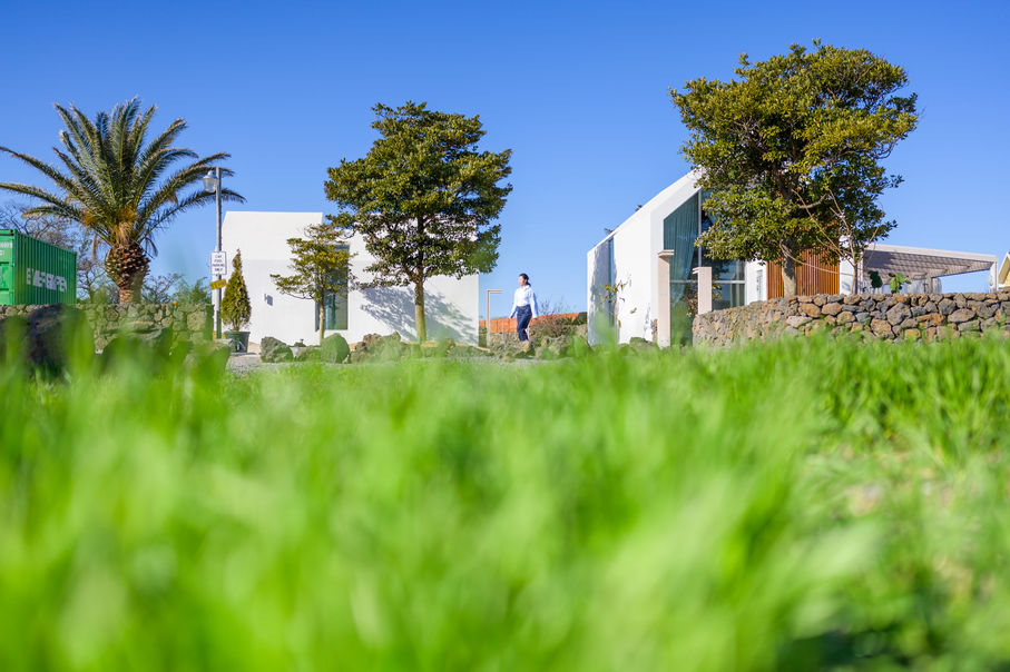 잔디밭 너머로 보이는 제주 아담스테이 숙소, 여유로운 분위기