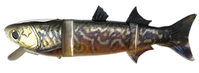 ボラコン_タイガートラウト.png