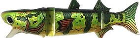ボラコン_ピーコックバス.png