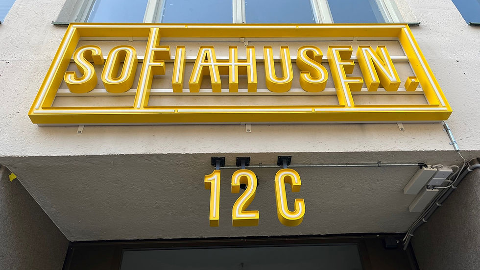 Sofiahusen - Tidlöst möter modernt i harmoni