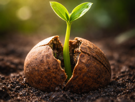 Breaking Through the Shell of Old Habits